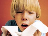 Gripa porcina- Virusul H1N1 cum ne protejam? Gripa porcina- Virusul H1N1 cum ne protejam?